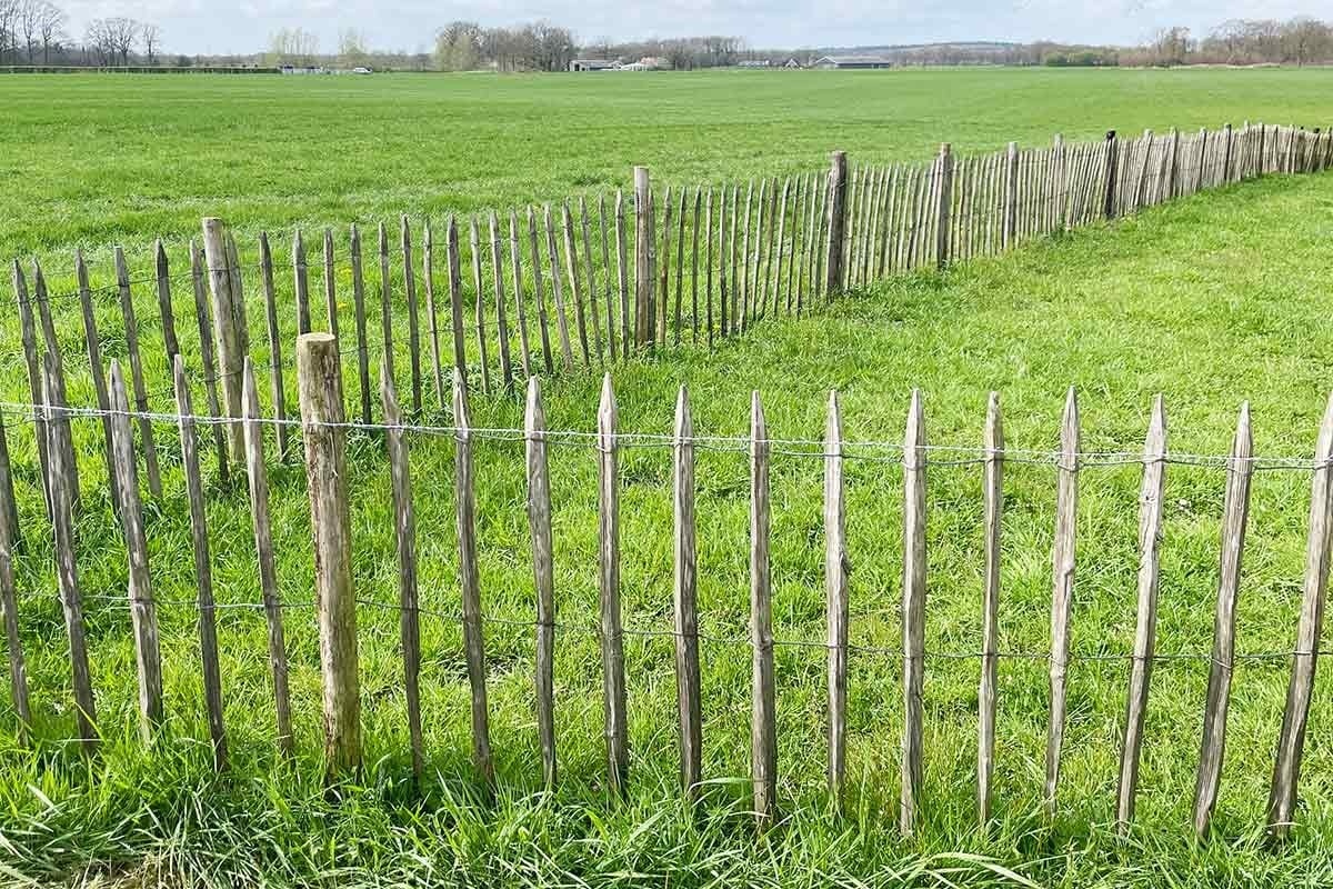 Ein Staketenzaun im Vorgarten?