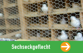 Sechseckgeflecht