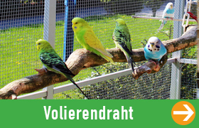 Volierendraht grün Drahtgitter 4-Eck Maschendraht Garten Zaun 19x19mm 1.45mm 25m 